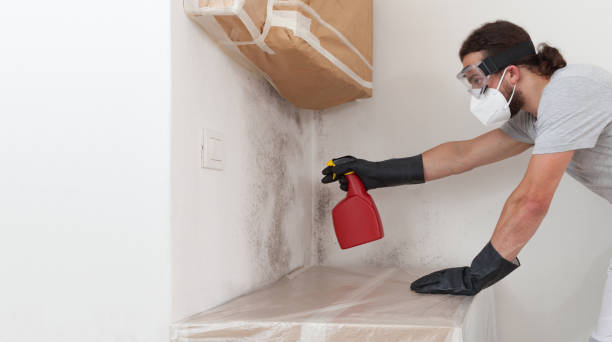 Professional Crawl Space Mold Remediation technician working in Onekama, MI