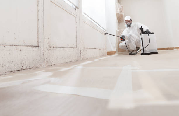 24/7 Emergency Crawl Space Mold Remediation experts in Onekama, MI